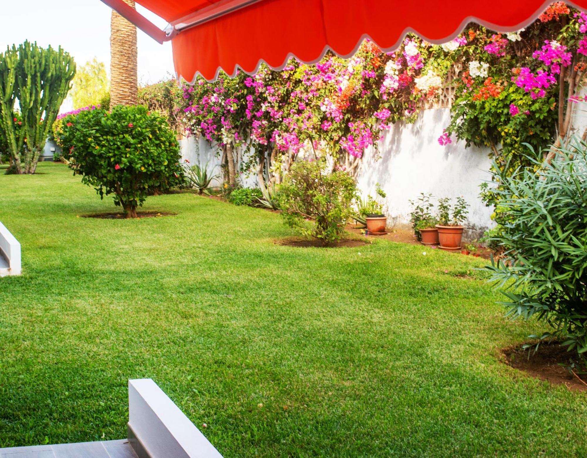 Apartamento Casa Tranquila Puerto de la Cruz  Exterior foto